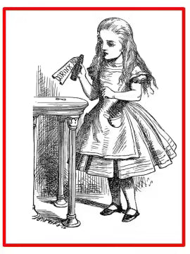 Alice in Wonderland Journal