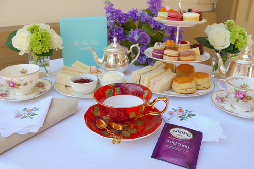 Red and Gold with Red Roses Teacup and Saucer