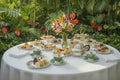 Daylily Green Flower Teacup and Saucer